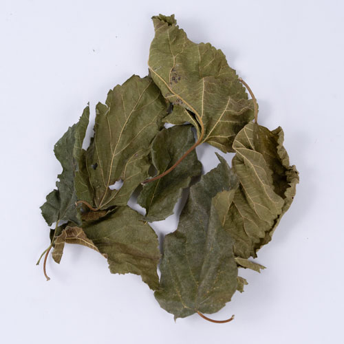 素材の美味しさ 桑の葉 10g