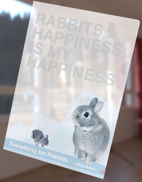 RABBITS HAPPINESS  A5クリアファイル 