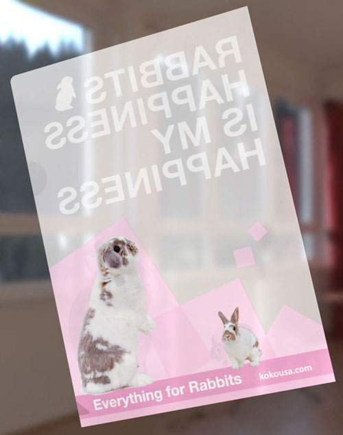 RABBITS HAPPINESS  A5クリアファイル 