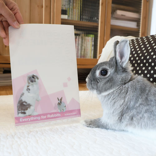RABBITS HAPPINESS  A5クリアファイル 