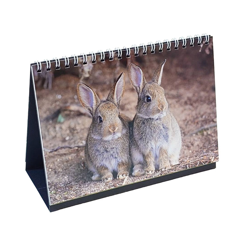 2026年卓上版大久野島うさぎカレンダーの通販はココロのおうち