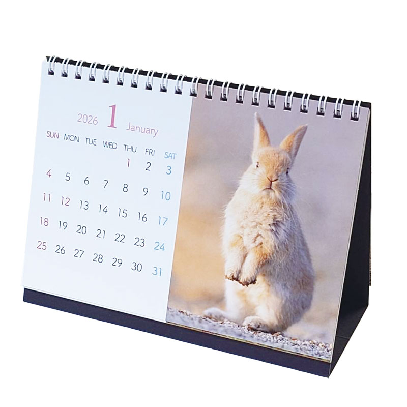 2026年卓上版大久野島うさぎカレンダーの通販はココロのおうち