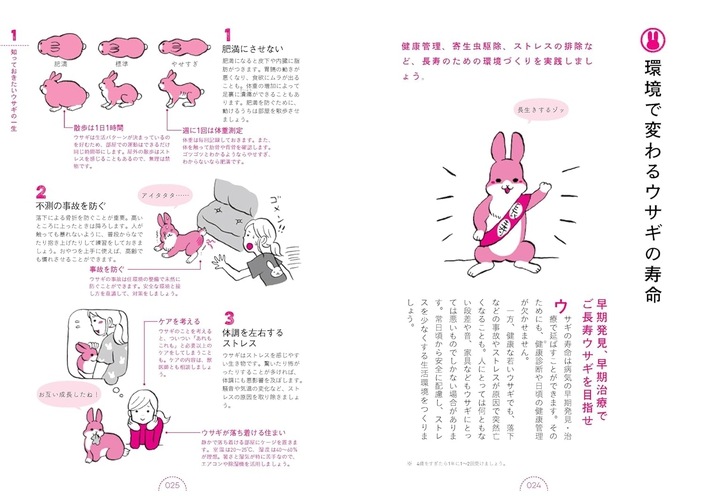 ウサギの看取りガイド 増補改訂版