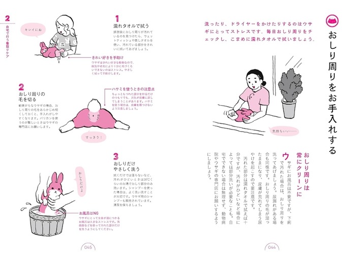 ウサギの看取りガイド 増補改訂版