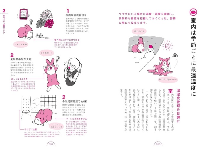 ウサギの看取りガイド 増補改訂版