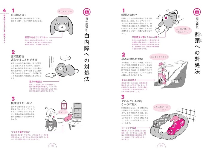 ウサギの看取りガイド 増補改訂版