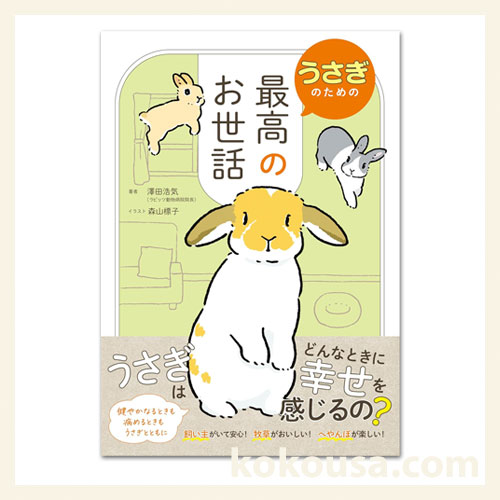 うさぎのための最高のお世話