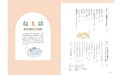 うさぎのための最高のお世話