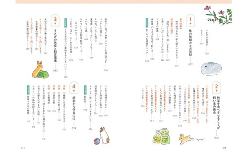 うさぎのための最高のお世話