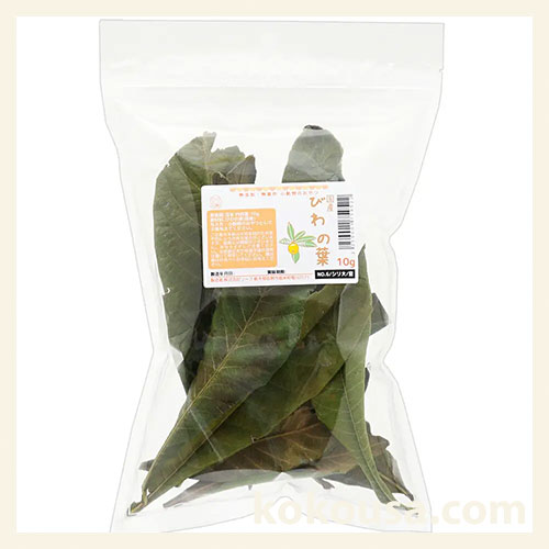 国産 びわの葉 10g Leaf Corporation