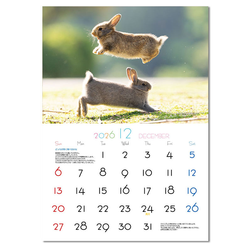 大久野島うさぎカレンダー2026年度の通販はココロのおうち