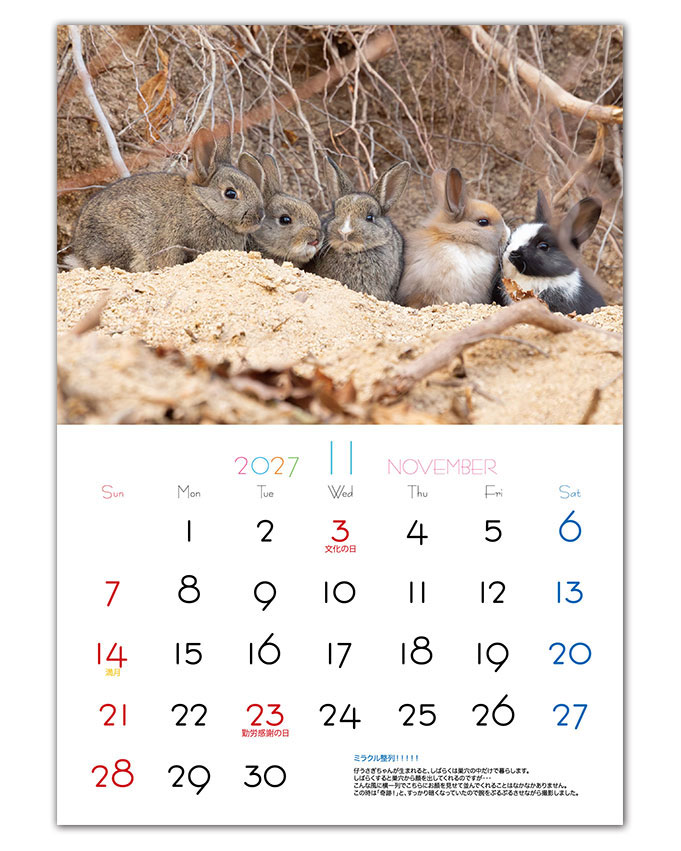 大久野島うさぎカレンダー2027年度