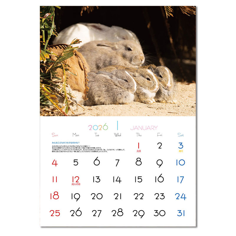 大久野島うさぎカレンダー2026年度の通販はココロのおうち