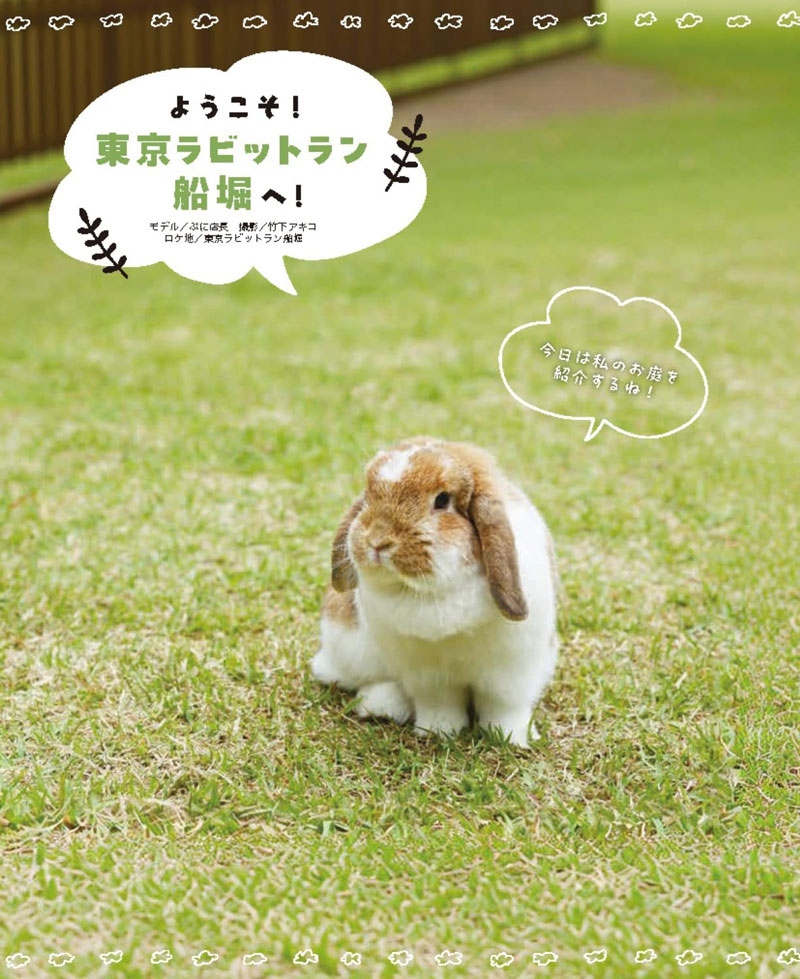 うさぎと暮らす No.100 2026年 Summerの通販はココロのおうち