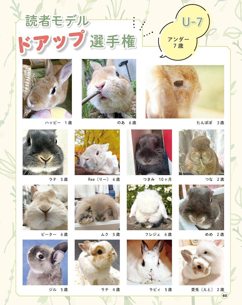 うさぎと暮らす No.100 2026年 Summerの通販はココロのおうち