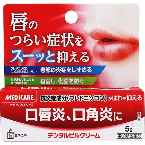 【第(2)類医薬品】デンタルピルクリーム　【５ｇ】(森下仁丹)