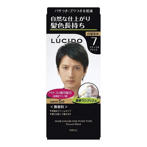 ルシード　ワンプッシュケアカラー　ナチュラルブラック　(医薬部外品) 【1剤50ｇ・2剤50ｇ】(マンダム)　