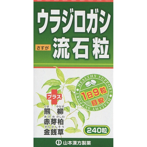 ウラジロ　450枚　裏白　ウラジロしだ ウラジロガシ流石粒【240粒】（山本漢方） | すべての商品