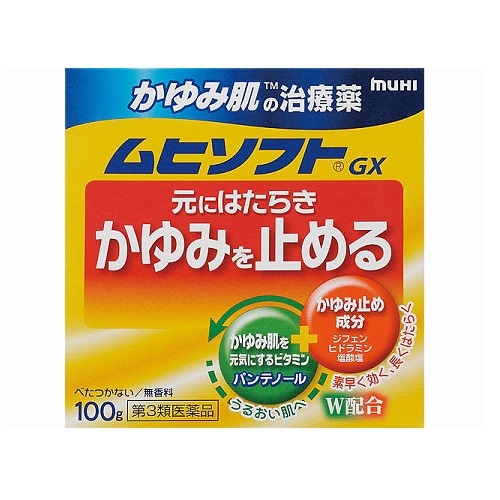 ★【第3類医薬品】かゆみ肌の治療薬ムヒソフトＧＸ　【100ｇ】(池田模範堂)【セルフメディケーション税制対象】　「(○)店舗取置可」