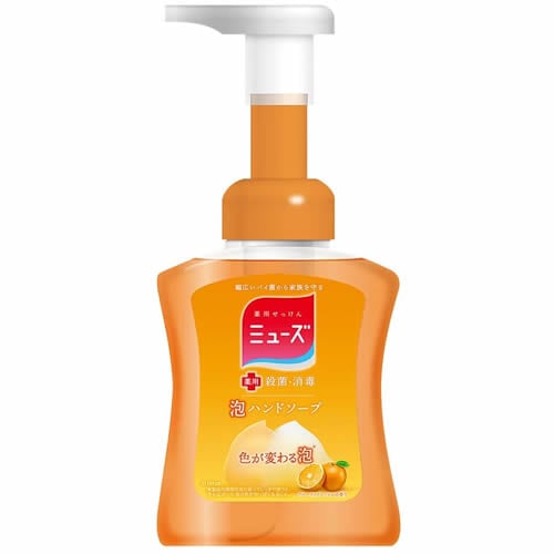 泡ミューズ　フルーティフレッシュ本体【250mL】（レキットベンキーザー）　