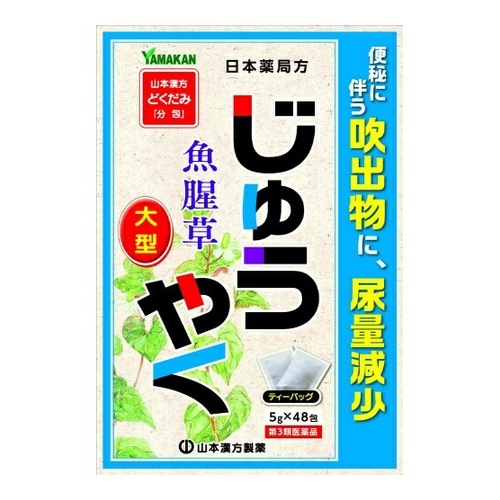 【第3類医薬品】大型 じゅうやく　【5g×48包】(山本漢方製薬)　「(○)店舗取置可」