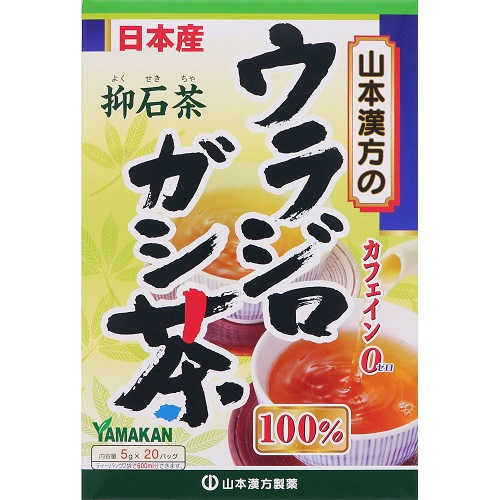 ウラジロシダ　250枚　裏白　門松 四季の山野草（ウラジロ）