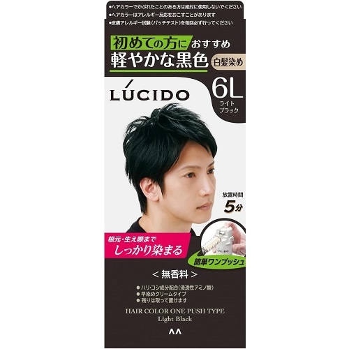 ルシード　ワンプッシュケアカラー　ライトブラック　【1個】(マンダム)　「(○)店舗取置可」