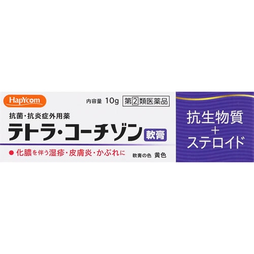 【第(2)類医薬品】テトラ・コーチゾン軟膏　【10g】(山崎帝國堂)　「(○)店舗取置可」