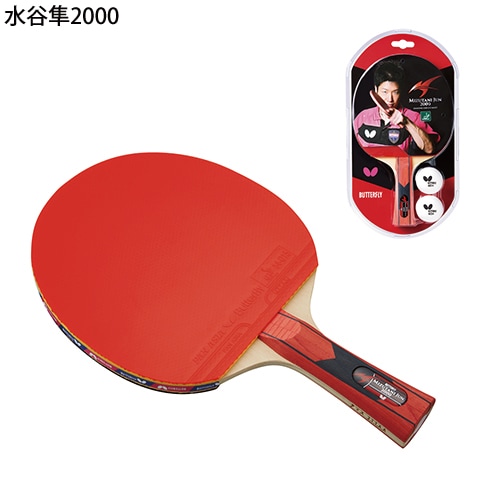 水谷隼2000