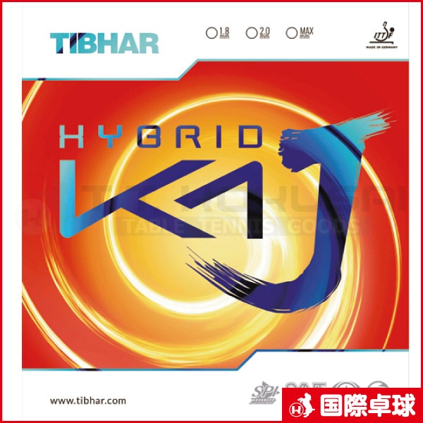 アカデミーハイブリッド国英数理社 アカデミーハイブリッド国英数理社