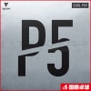 P5V