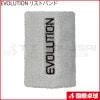 EVOLUTION リストバンド