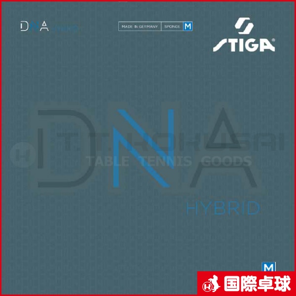 DNA HYBRID M