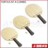 FORTIUS NT-A COMBO