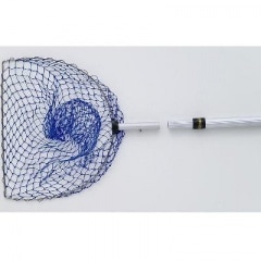 �ܡ��륹�����ץإå�