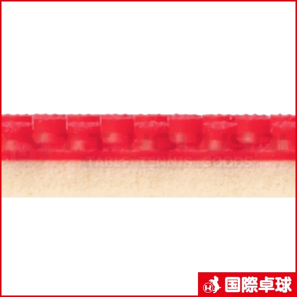 �������ץ��