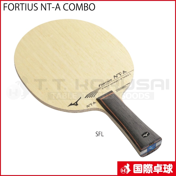 FORTIUS NT-A COMBO