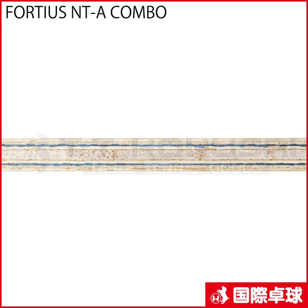 FORTIUS NT-A COMBO