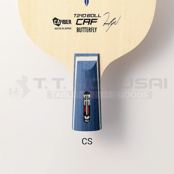 �ƥ���ܥ�CAF-CS