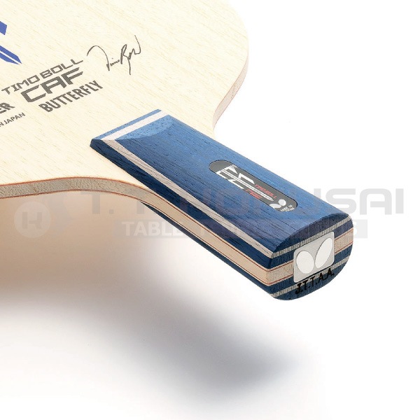 �ƥ���ܥ�CAF-CS