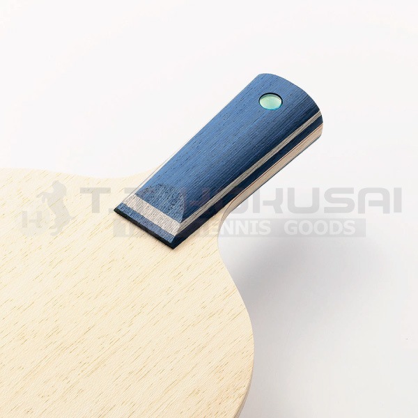 �ƥ���ܥ�CAF-CS