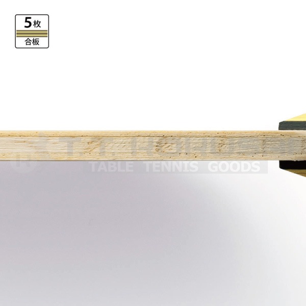 �ƥ���ܥ�J