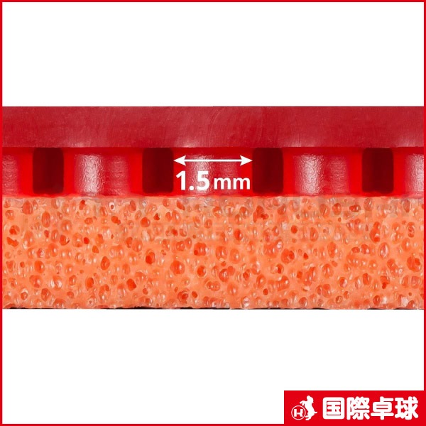 �ƥʥ���19