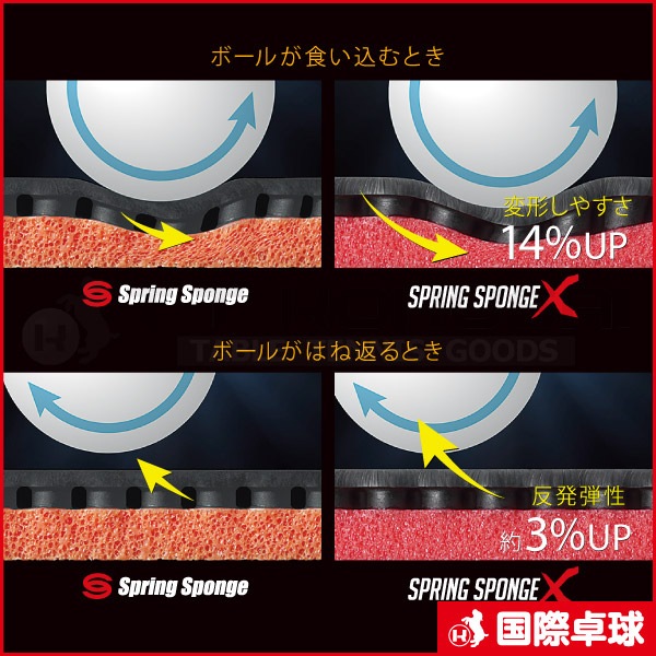 �ǥ����˥���80