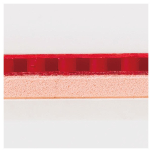 �ڼ��������ۥХ�����