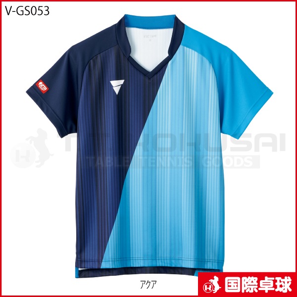V-GS053