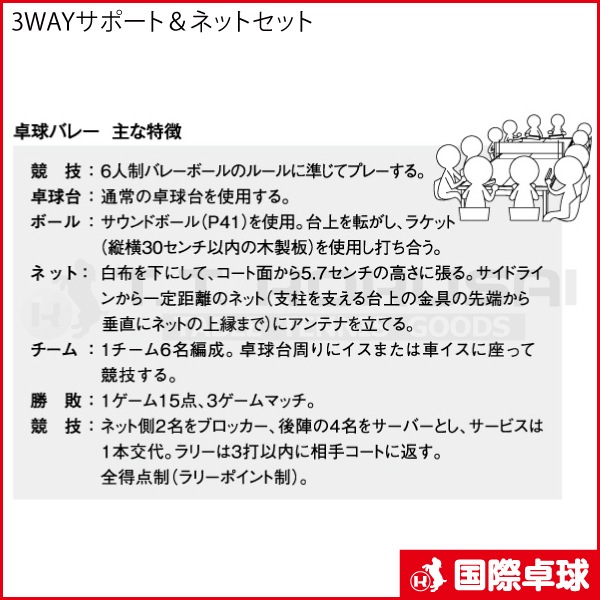 3WAY���ݡ��ȡ��ͥåȥ��å�