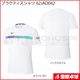 �ץ饯�ƥ�������� 62JAD042