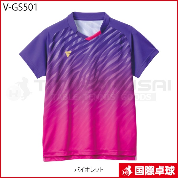 V-GS501