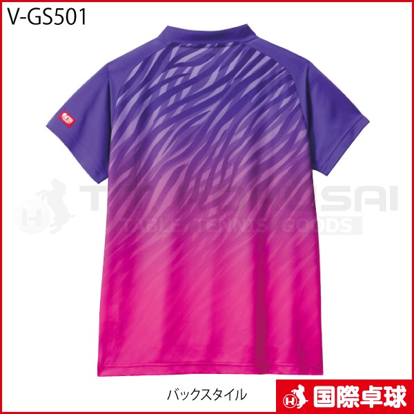 V-GS501